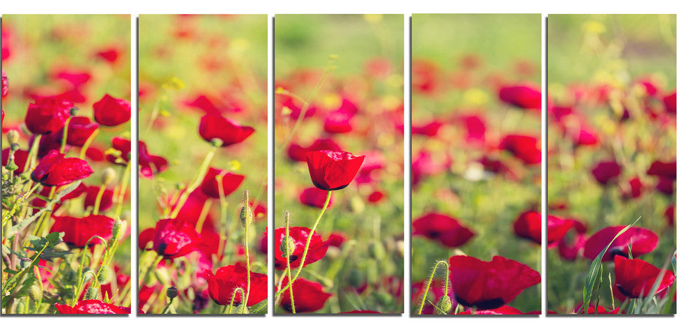 Beautiful Poppy Flowers Background, Large Flower Canvas Print, 60"x28", 5 Panels