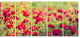 Beautiful Poppy Flowers Background, Large Flower Canvas Print, 60"x28", 5 Panels