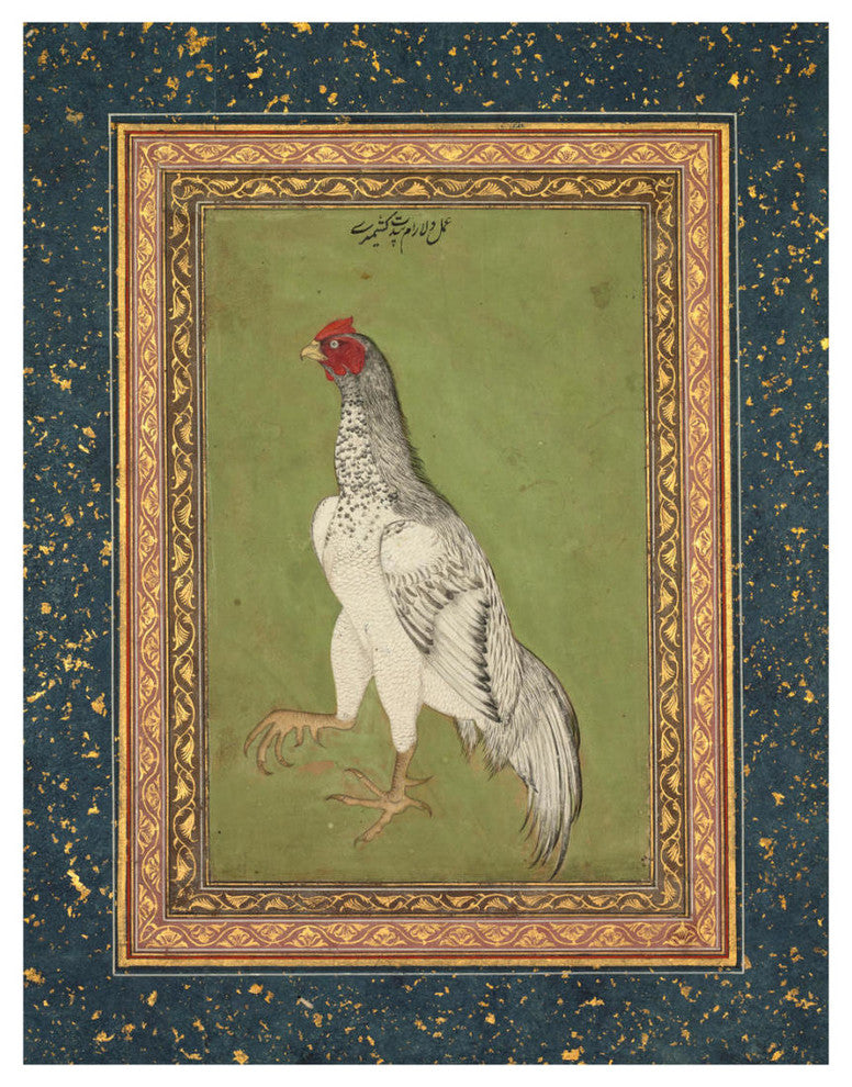 "Fighting Cock, c.1620" Paper Art, 25"x32"