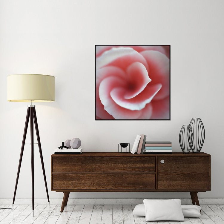 Begonia, 40"x40"