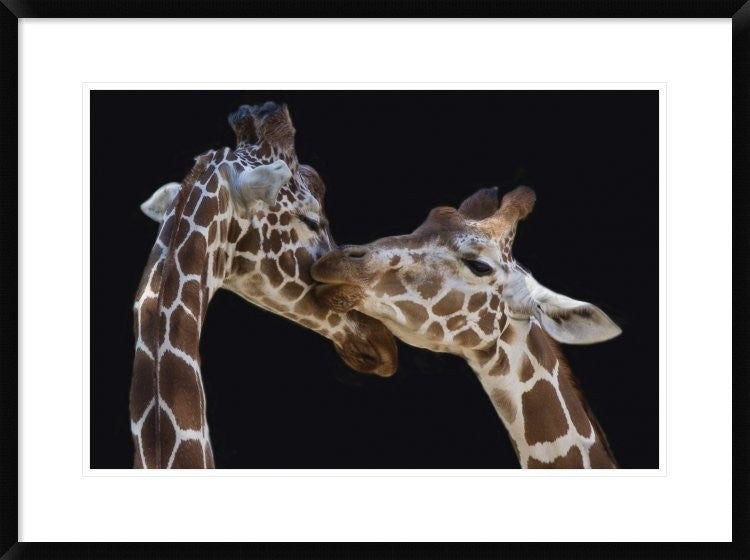 "The Kiss" Framed Digital Print by Manfred Foeger, 32x24"