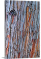 "Arboris" Wrapped Canvas Art Print, 32"x48"x1.5"