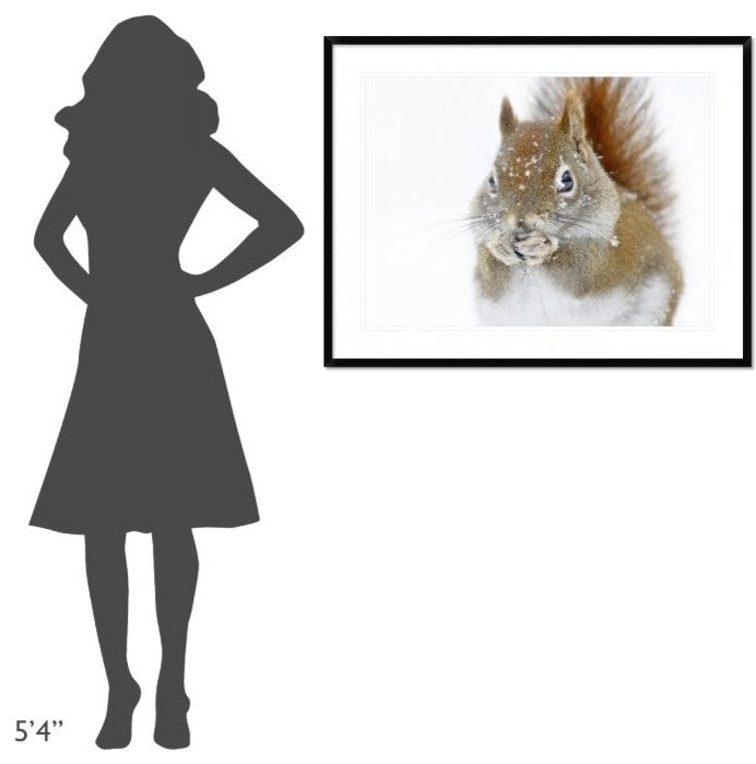 "Christmas Squirrel" Framed Digital Print by Mircea Costina, 40x32"