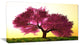 Cherry Blossom in Beautiful Garden, Landscape Canvas Art Print, 32"x16"