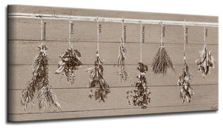 Herbs Wrapped Canvas Botanical Kitchen Wall Art
