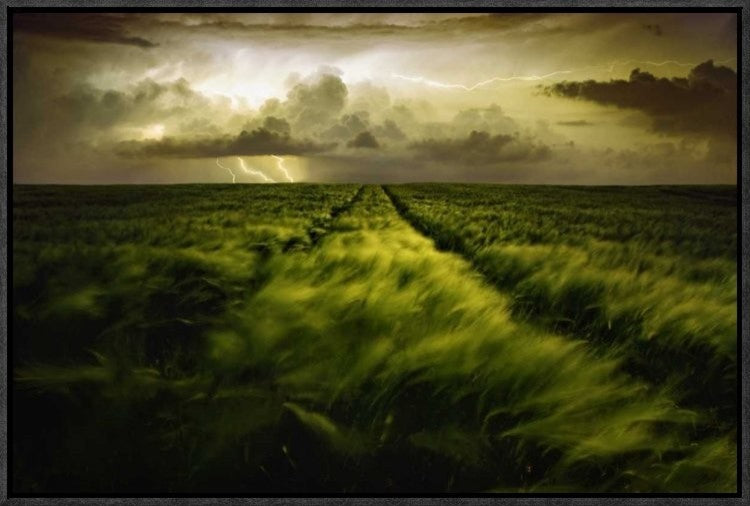 "Journey To The Fierce Storm" Framed Canvas Giclee by Sona Buchelova, 23x15"