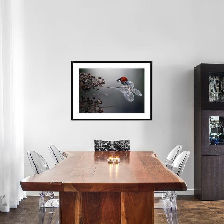 "Ladybird On Hydrangea." Framed Digital Print by Ellen Van Deelen, 44x32"