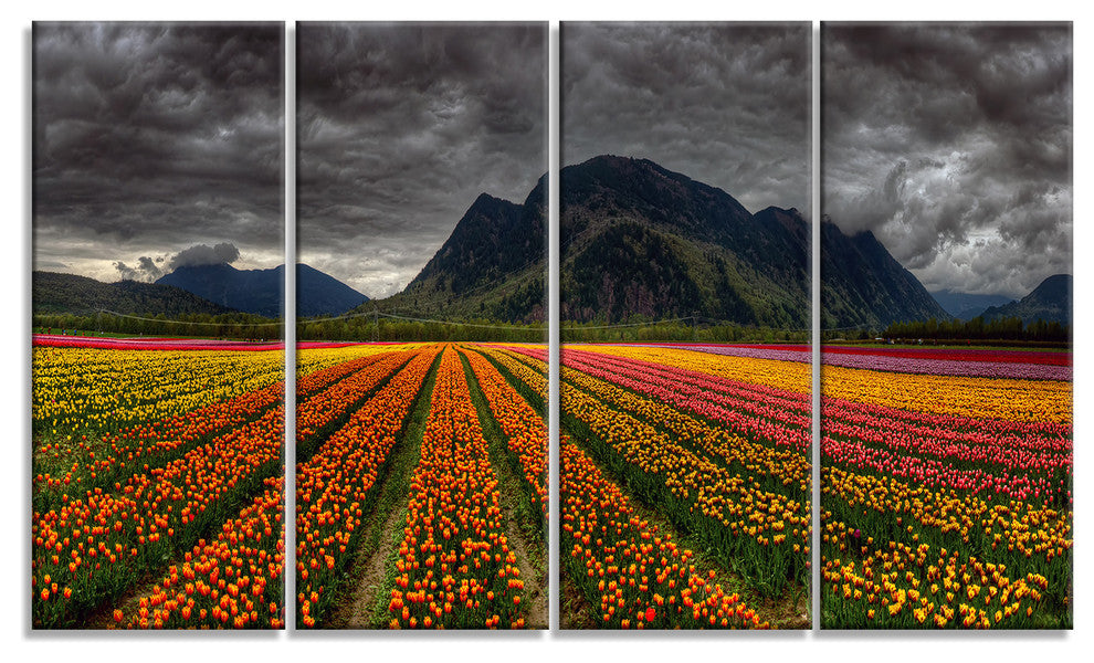 Beautiful Colored Tulips Panorama, Landscape Canvas Art, 48"x28", 4 Panels