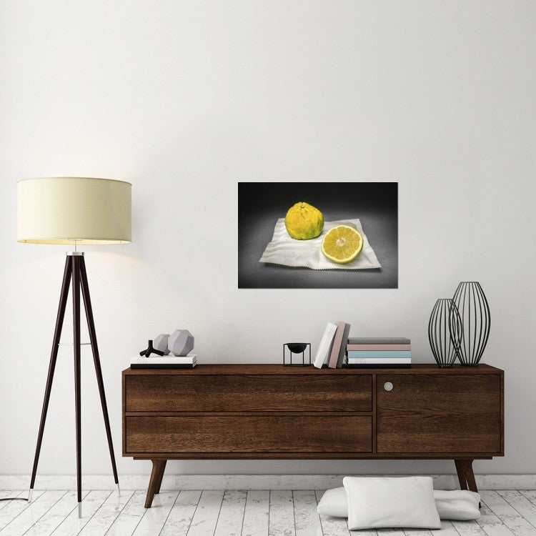 "Citrus" Stretched Canvas Giclee by Christophe Verot, 36x24"