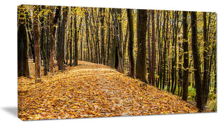 Dense Autumn Forest Woods, Modern Forest Canvas Art, 32"x16"
