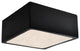 Short Square LED Outdoor Flush-Mount, Carbon Matte Black
