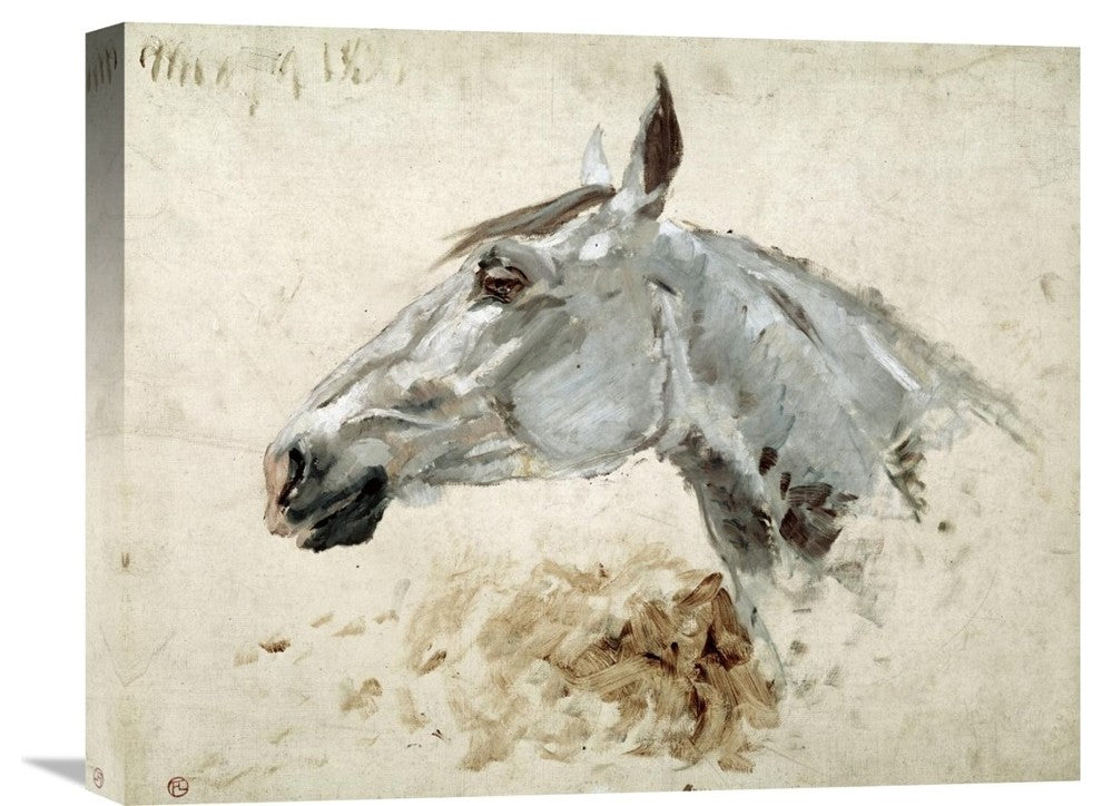 "Testo Di Cavallo" Artwork, 22"x17"