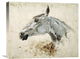 "Testo Di Cavallo" Artwork, 22"x17"