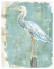 "Coastal Egret II working" Digital Paper Print by Sue Schlabach, 30"x37"
