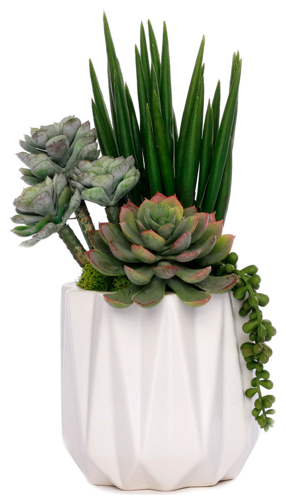 Succulent Arrangement in White Metal Pot