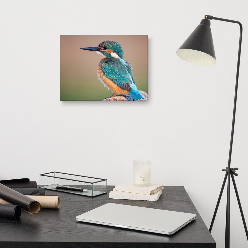Common Kingfisher Bird on Perch Animal Wildlife Photograph Canvas Wall Art Print, 12" X 16"