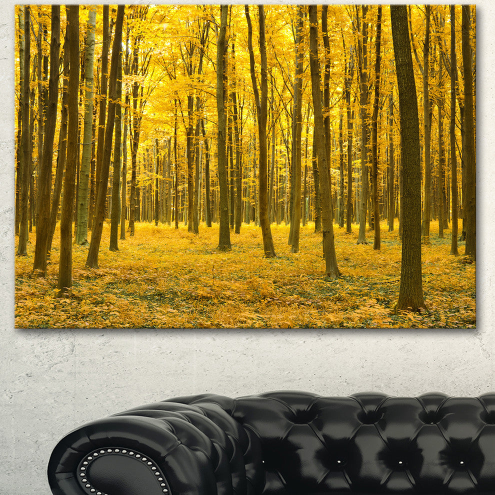 Bright Yellow Autumns Forest, Modern Forest Canvas Art, 40"x30"