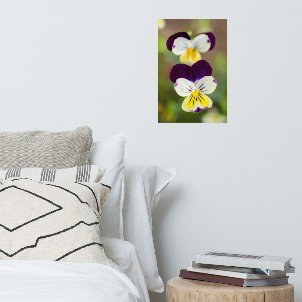 Pretty Little Violets Floral / Botanical Photograph Unframed Wall Art Prints, 12" X 18"
