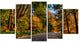 Road through Lit up Fall Forest, Large Landscape Canvas Art, 60"x32", 5 Panels