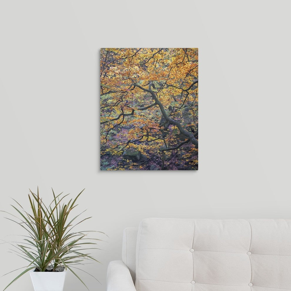 "Falls Reach" Wrapped Canvas Art Print, 16"x20"x1.5"