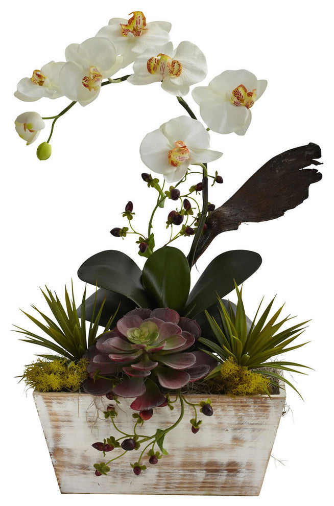 Orchid and Succulent Garden With White Wash Planter