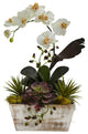 Orchid and Succulent Garden With White Wash Planter