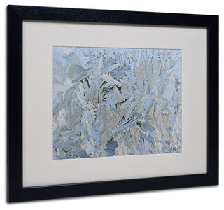 'Frost Pattern #6' Matted Framed Canvas Art by Kurt Shaffer