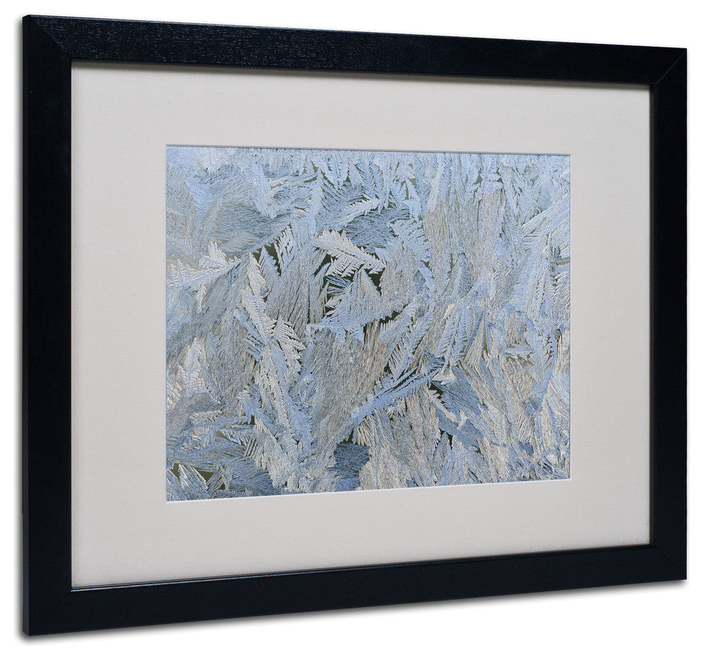 'Frost Pattern #6' Matted Framed Canvas Art by Kurt Shaffer