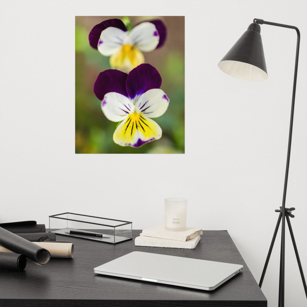 Pretty Little Violets Floral / Botanical Photograph Unframed Wall Art Prints, 16" X 20"