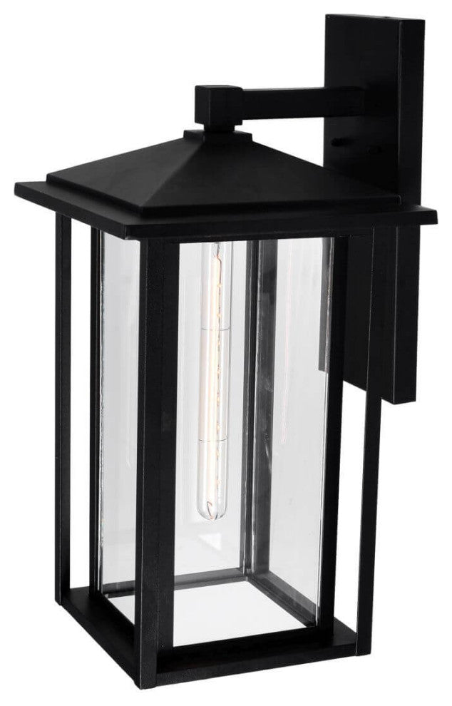 Outdoor Wall Light, Black With Clear Glass, 22"