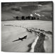 "Snowy Lizard" Giclee Canvas Wall Art, 26"x26"