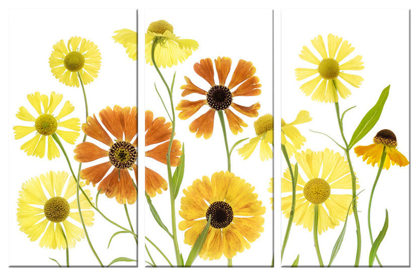 Ready2HangArt ''Helenium'' 3-Piece Canvas Wall Decor Set, 60"x40"