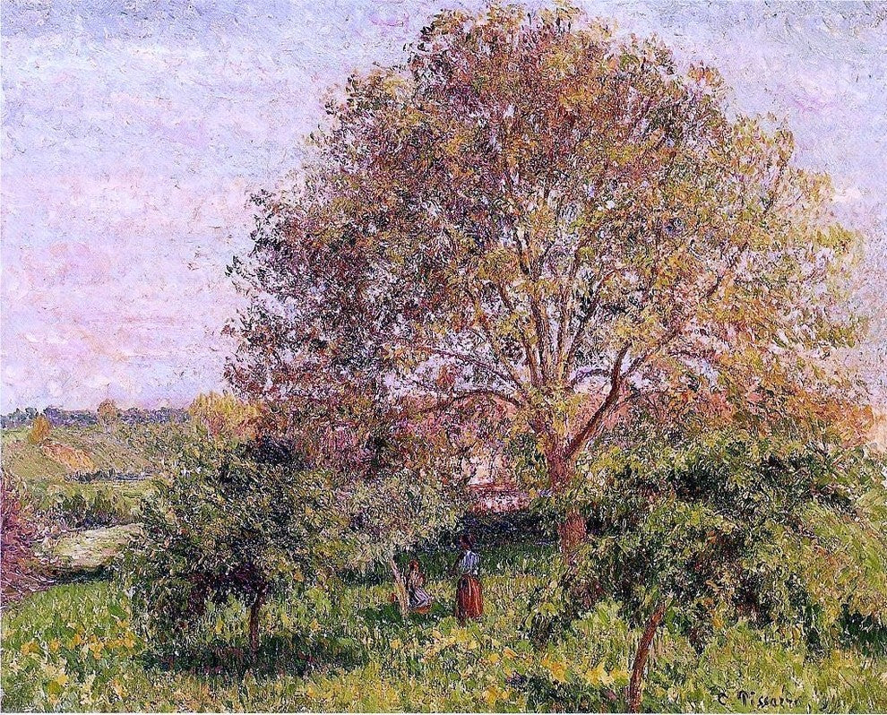 Camille Pissarro Walnut Tree in Spring, 20"x25" Wall Decal Print