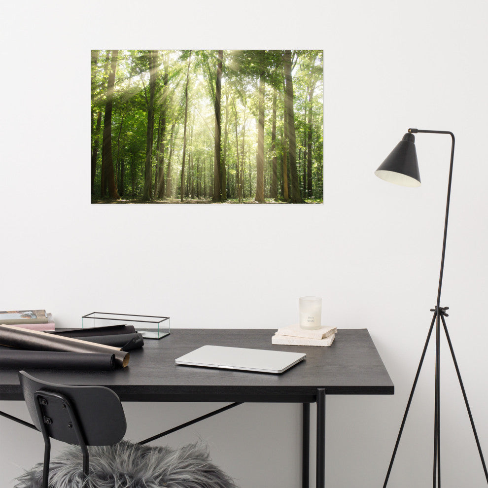 Sun Rays Through Treetops Landscape Photo Unframed Wall Art Print, 24" X 36"