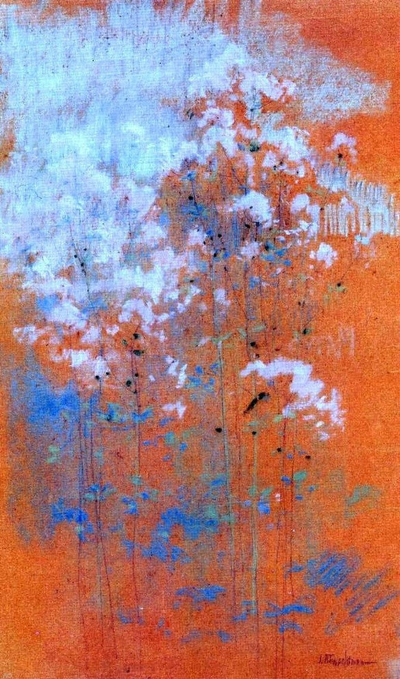 John Twachtman Wild Flowers, 18"x27" Wall Decal Print