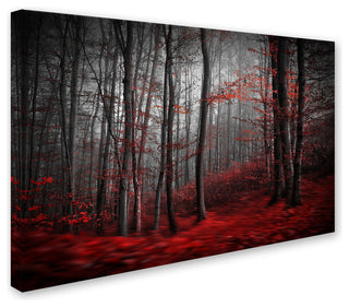 Samanta 'Bloody River' Canvas Art, 47 x 30