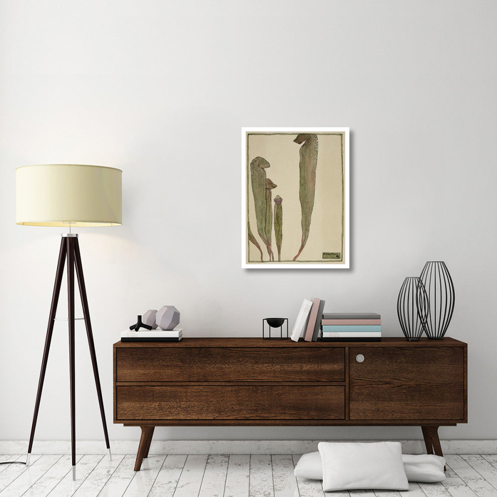 "Pitcher Plant" Digital Paper Print by Hannah Borger Overbeck, 26"x34"