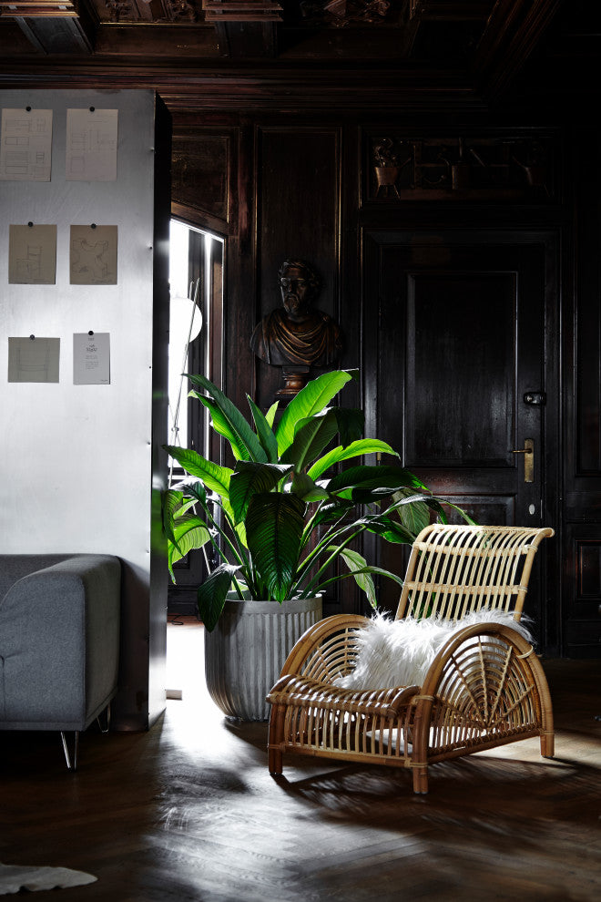 Arne Jacobsen Paris Rattan Chair, Natural