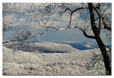 'Winter Scene' Canvas Art by Lois Bryan