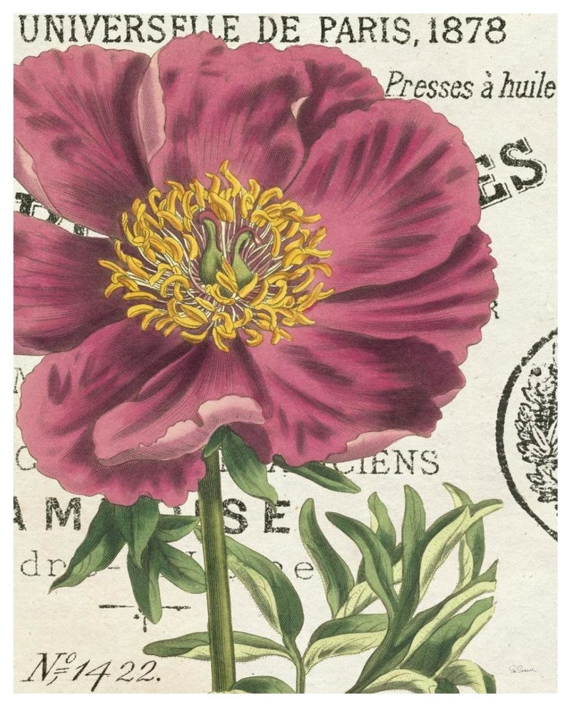 "Peony Botany" Digital Paper Print by Sue Schlabach, 24"x30"