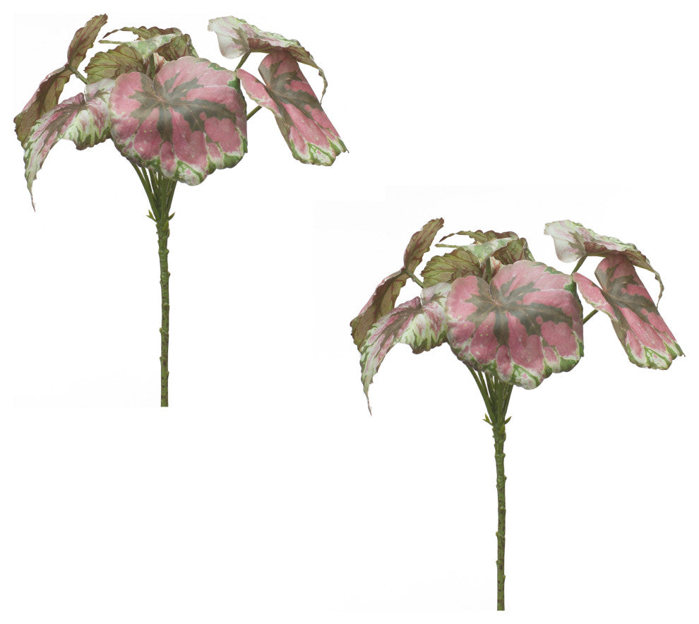 Begonia Leaf, Set of 2, 11.5"H Polyester