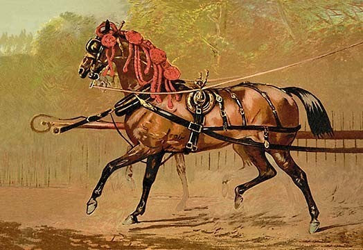 State Carriage Horse - Canvas Poster 20" x 30"