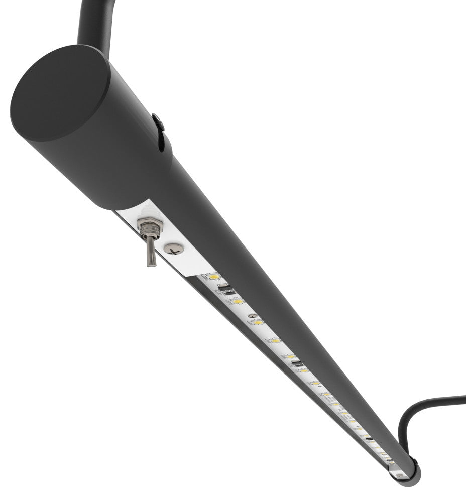 Cocoweb Slim Line LED Picture Lights, Dimmable, Plug-In, Oil Rubbed Bronze, 21"