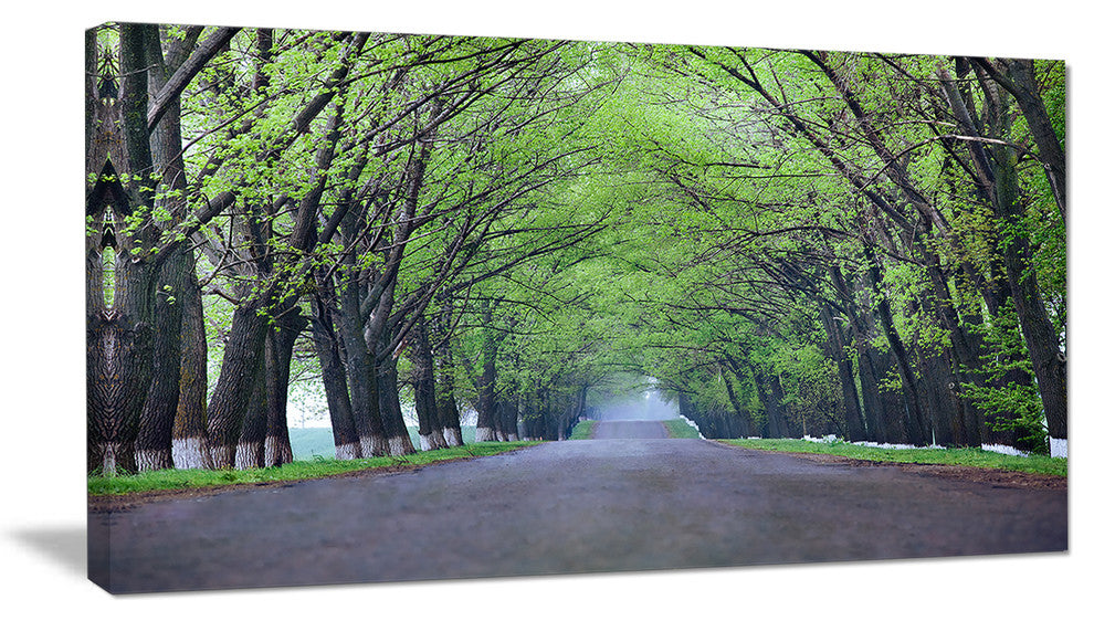 "Arched Trees Over Country Road" Landscape Canvas Photo Print, 32"x16"