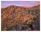 "Panther, Safford Peaks covered, Saguaro, Teddybear Cholla" Paper Art, 18"x14"