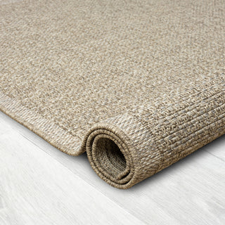 Paolo Modern Solid Brown Indoor Outdoor Area Rug, 2' x 3'
