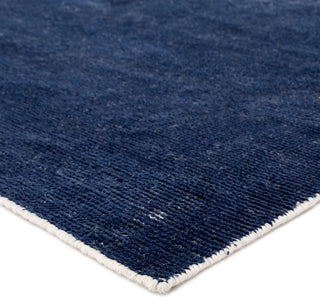 Jaipur Living Limon I-O Solid Blue Rug, 7'10"x10'10"