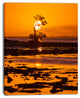 Lonely Mangrove in Florida Coast, African Landscape Canvas Art Print, 12"x20"