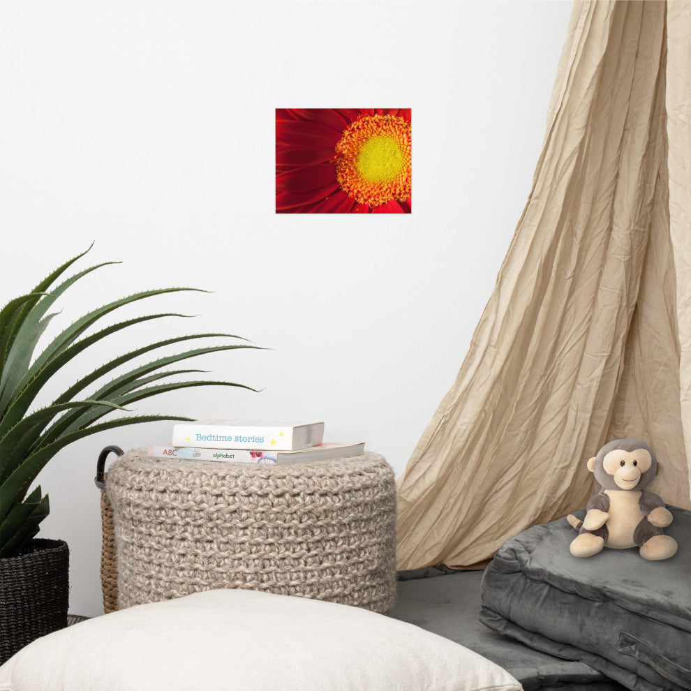 Nature's Beauty Nature Photography, Floral Unframed Wall Art Print, 8" X 10"