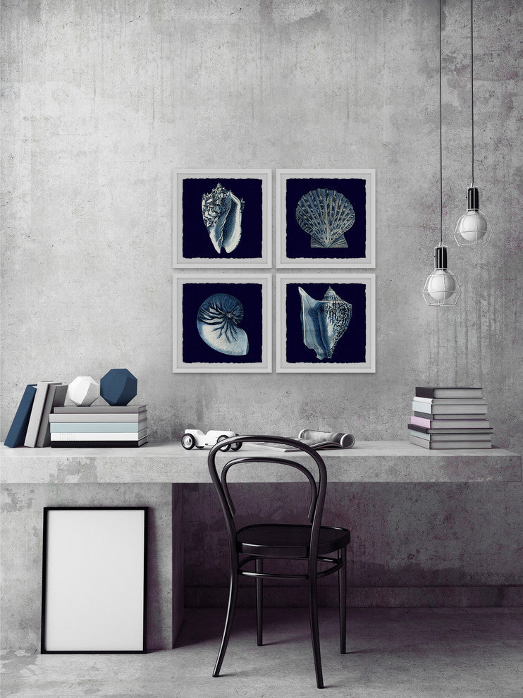"All About Shells Quadriptych" Framed Painting Prints, 36"x36", 4-Piece Set
